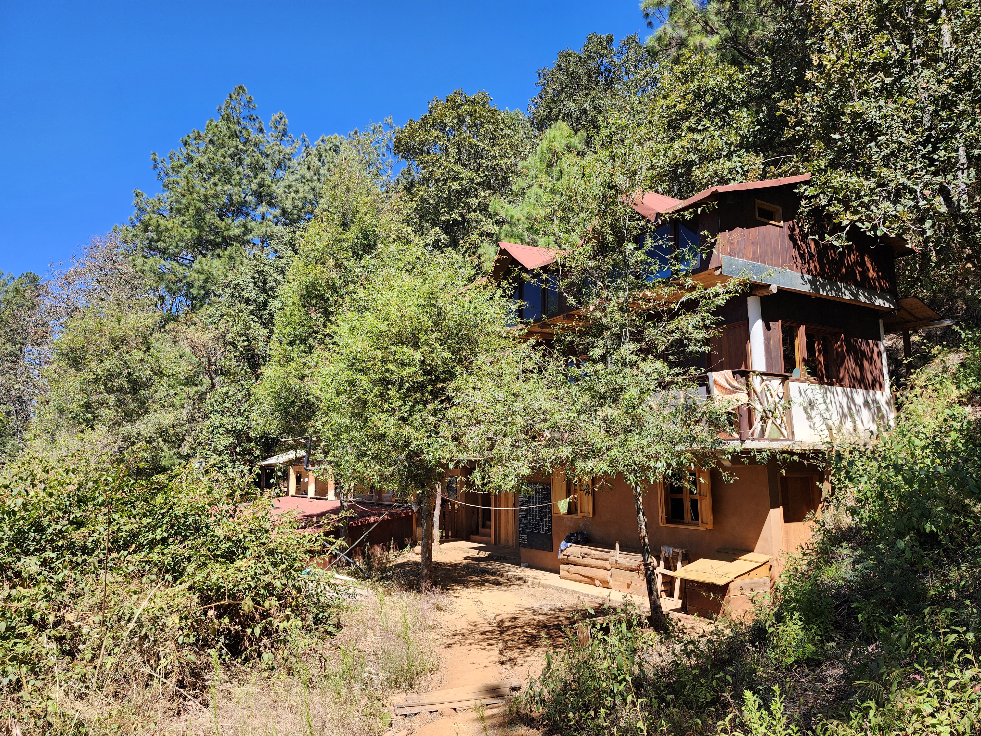 Hostal La Cuna entre el bosque