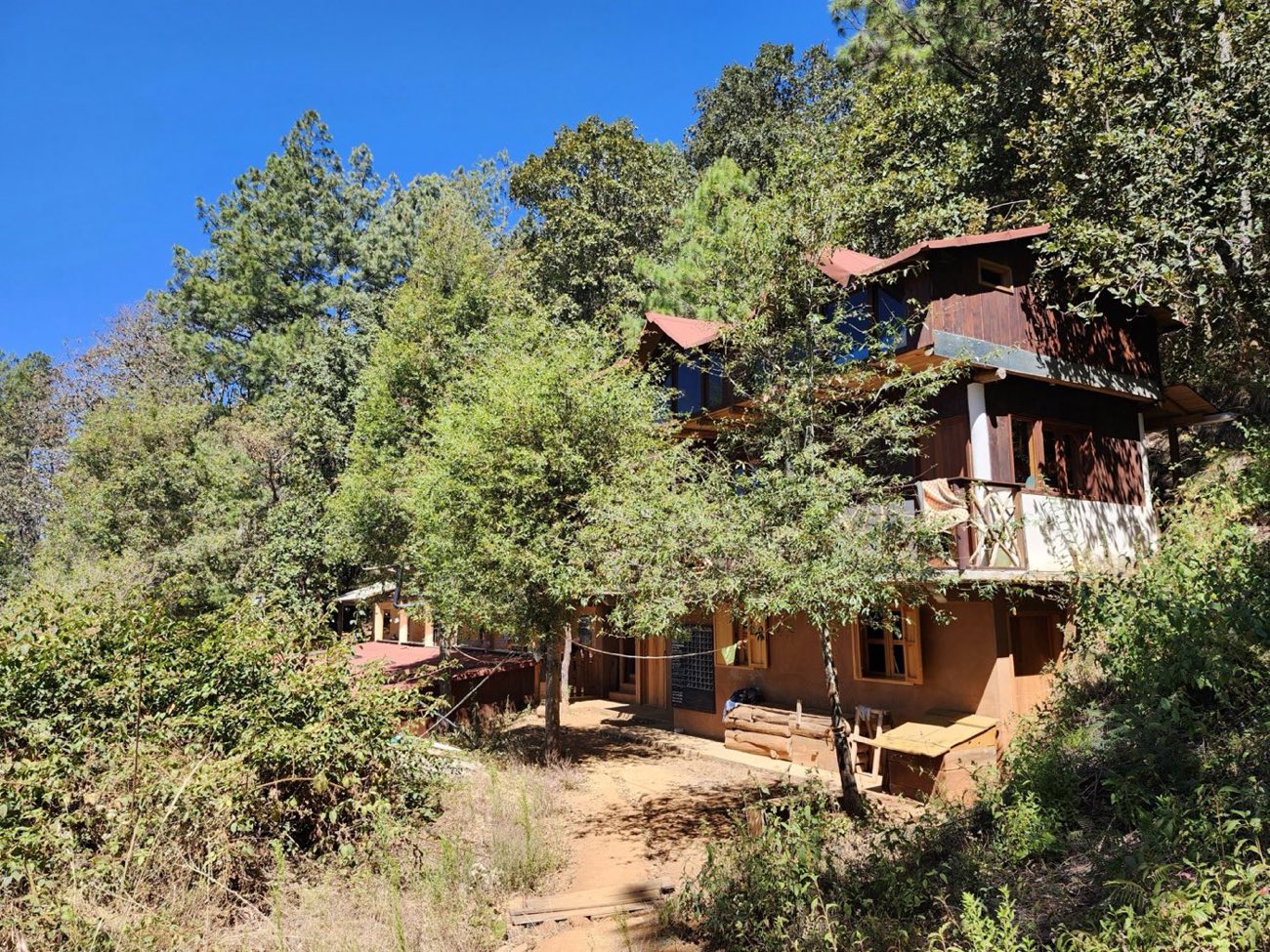 Guest houses among the forest