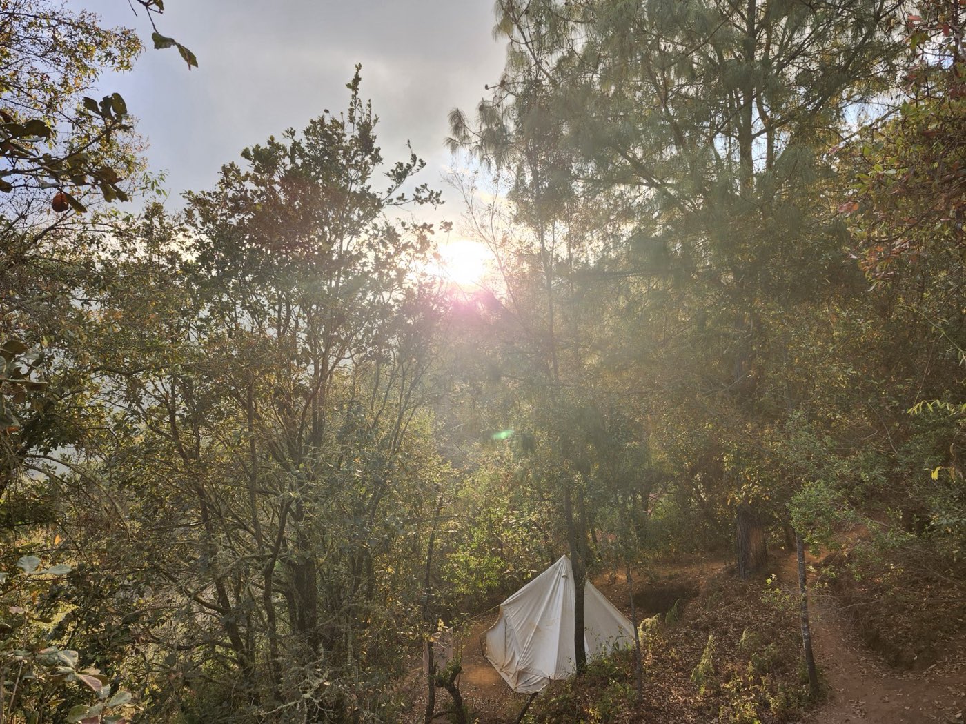 Yurt among the forest